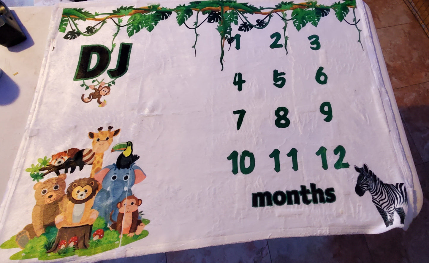 Baby Milestone Blanket