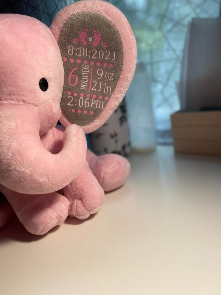 Stuffed Animals